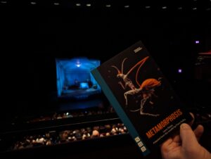 Programme for Metamorphosis with the theatre set in the background
